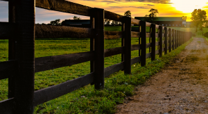 Gradyville Farm Fencing wood rail livestock fence 300x164